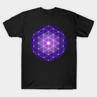 Sacred Geometry T-Shirt